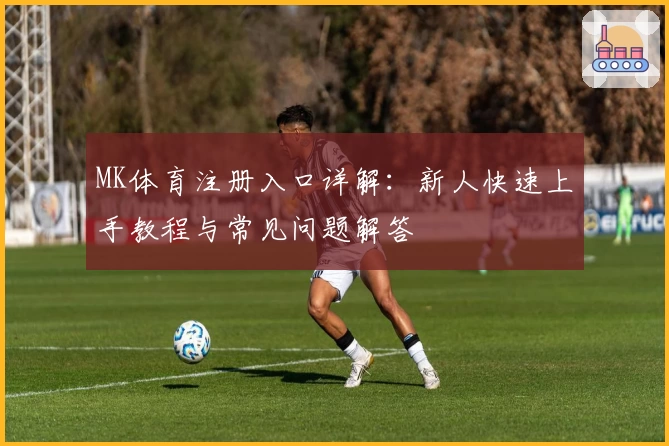 MK体育注册入口详解：新人快速上手教程与常见问题解答