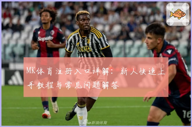 MK体育注册入口详解：新人快速上手教程与常见问题解答